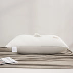 800G-Stripe-I / 1PC 48X74CM Pillow