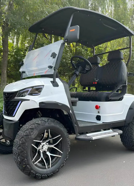 Affordable 2 4 6 Seater Chinese Electric Golf Cart Car For Sale 72V Lithium Custom Comfortable 4 Seats Electric Golf Carts - Riparo82
