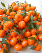 1PCS Imitation of real and fake oranges with branches and leaves, orange model, fruit shop window decoration - riparo82