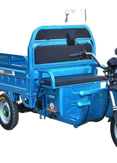 Cheap E-trikes 3 Wheel Tricycle Cargo Truck Durable 300cc Cargo Tricycle Strong Electric Cargo Tricycle for Adult - Riparo82