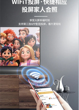 TV  LCD TV  WFi wireless network 4K - Riparo82