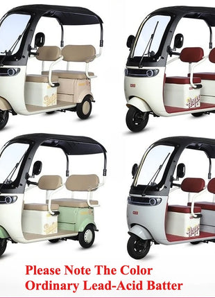 2025 Hot Selling Electric Tricycle for Family Use Open Body Rickshaw with Roof for Passenger and Cargo for Adults