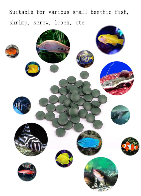 200 pieces of spirulina, aquarium pet, red shrimp, mouse fish, benthic fish, fish food - Riparo82