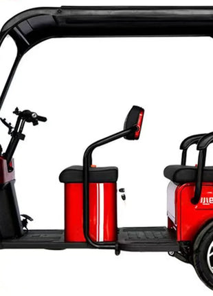 Mini Autobus Elettrico 2-4 Posti con Tetto - Scooter Turistico Doppia Fila - riparo82