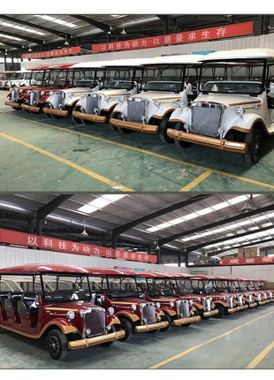 Street Legal Support Custom Electric Golf Cart Adult Electric Car Electric Classic Car With Speaker Mini For Family And Hunting - Riparo82