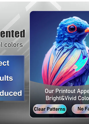 Stampante A4 DTF per Epson L805 Testa diretta per stampante a trasferimento di pellicola Impresora A4 dtf per felpe con cappuccio in tessuto macchina da stampa per magliette