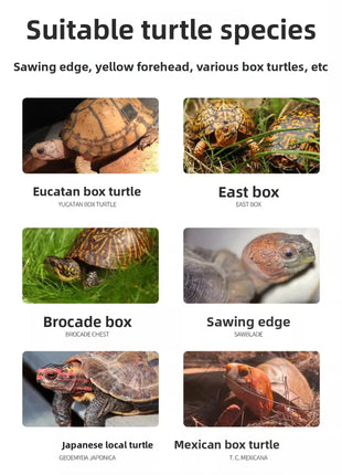 YUR KWAI Turtle Color Enhancing Food - Vibrant Red/Yellow Formula for Box Turtles (Yellow-Margined/Red-Face/Fire) - Riparo82