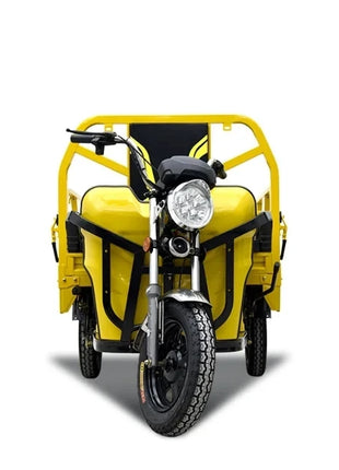 Cheap E-trikes 3 Wheel Tricycle Cargo Truck Durable 300cc Cargo Tricycle Strong Electric Cargo Tricycle for Adult - Riparo82