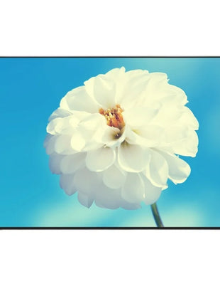 HTT4K ace TV 55 inch 4K smart network 32 inch LCD 42 43 inch - Riparo82