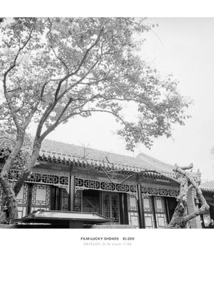 1/3/5/10 Rotoli LUCKY SHD 400 120mm ISO 400 Pellicola Pellicola Negativa in bianco e nero per Kodak 120 Film Camera Fujifilm Camera