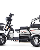 Triciclo Elettrico 1000W 48V 3 Posti Adulti - Scooter Mobilità Anziani 4 Modalità - riparo82