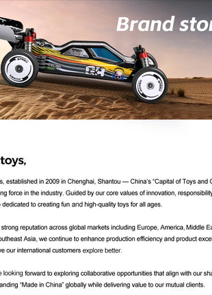 WLtoys 244016 Auto ad alta velocità, proporzionale 1:24, auto RC telecomandate di alta qualità, trazione a due ruote, giocattolo e regalo per ragazzo da corsa