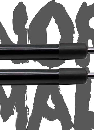 Ammortizzatore portellone posteriore 2 pezzi per Pechino X3 5 porte hatchback 2019-presente portellone con molla bagagliaio ammortizzatori a gas caricati a gas