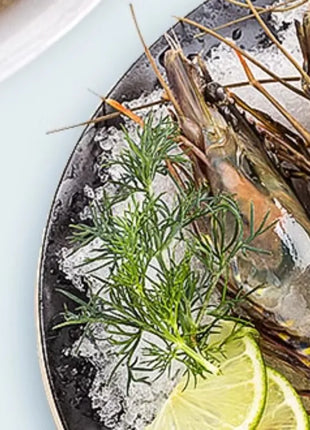 YUR KWAI Turtle Food - Pellets for Baby&Adult Turtles-High Protein,Easy Digest for Red-Eared Slider,Grass Turtle,Mud/Musk Turtle - Riparo82