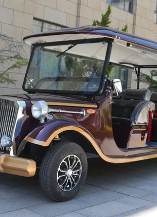 Street Legal Support Custom Electric Golf Cart Adult Electric Car Electric Classic Car With Speaker Mini For Family And Hunting - Riparo82