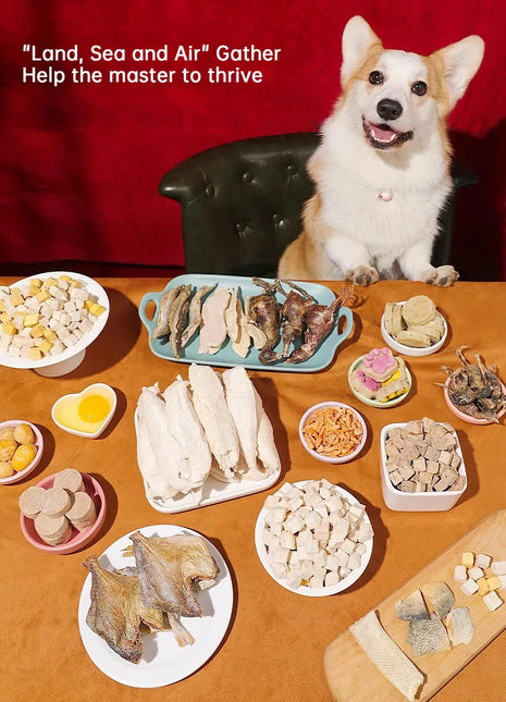 Snack per gatti domestici carne di pollo petto di pollo manzo anatra carne barile ingrasso branchie per cani cibo per gatti gatto carne d'anatra liofilizzata - riparo82