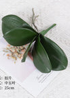 M 5 Leaf 25cm