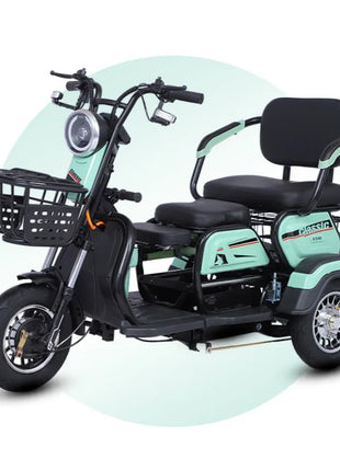 Triciclo Elettrico 1000W 48V 3 Posti Adulti - Scooter Mobilità Anziani 4 Modalità - riparo82