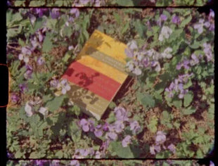 1-3 confezioni di pellicole Kodak Vision3 Super 8mm 50d 200t Super 8 colori Spot Date Fresh