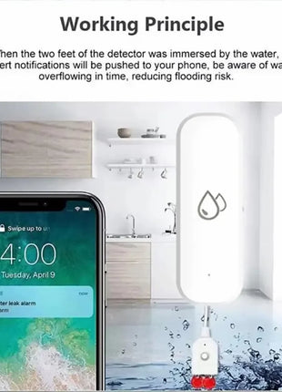 Setup instructions showing app pairing process