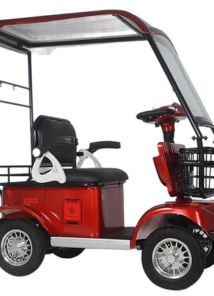 2024 High Quality Best Price 800w 15 Tube Four Wheel Electric Tricycle with Roof for Adult Golf Cart Electric with Roof - Riparo82