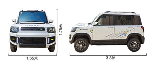 Mini car high-quality electric car 4-seat small electric car 60v 2000W suitable for adults and the elderly - Riparo82
