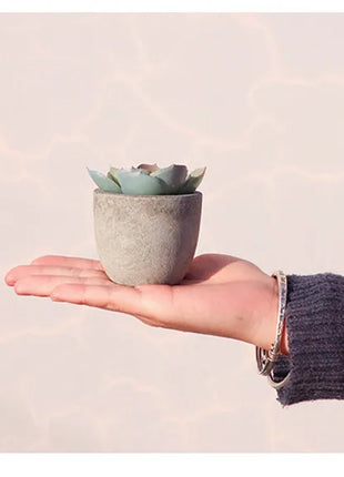 Mini Artificial Aloe Plants Bonsai Small Simulated Tree Pot Plants Fake Flowers Office Table Potted Ornaments Home Garden Decor