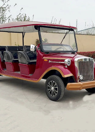 Street Legal Support Custom Electric Golf Cart Adult Electric Car Electric Classic Car With Speaker Mini For Family And Hunting - Riparo82
