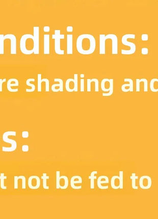 FKSC Turtle Food Mix - Freeze-Dried Shrimp/Mealworm/Fish & Chicken - Protein Rich Treat for Red-Ear Sliders & Aquatic Turtles - Riparo82