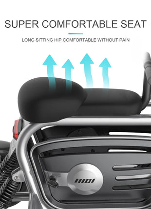 4 Wheels Dual Motor Electric Scooter Adults 800W 48V 4 Wheel Drive Mobility Scooter With Large Storage Basket 2 Seat For Women - Riparo82