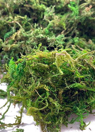 Artificial Moss Green for Potted Plant Orchid Potting Mix Peat Moss Pole Craft