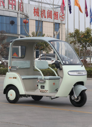 2025 Nuovo arrivo triciclo elettrico per auto | Trike per carichi pesanti per adulti con capacità di carico di 500 kg - riparo82