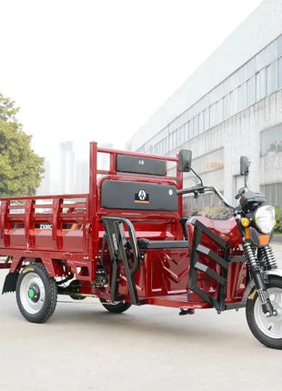 Cheap E-trikes 3 Wheel Tricycle Cargo Truck Durable 300cc Cargo Tricycle Strong Electric Cargo Tricycle for Adult - Riparo82
