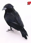 Crooked crow-1PC / As shown