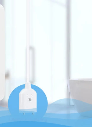 Water leak alarm system alerting with beeping sound