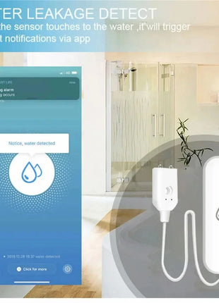 WiFi and Zigbee water detector shown with mobile app